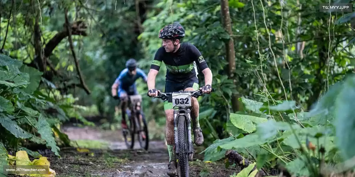 为什么选择我们