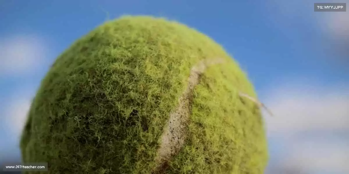 我们的核心竞争力